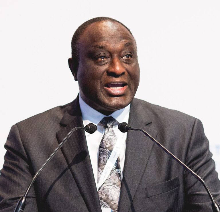 1200px-Plenary_session,_12_December_morning_(24172415987)_Alan_John_Kyerematen