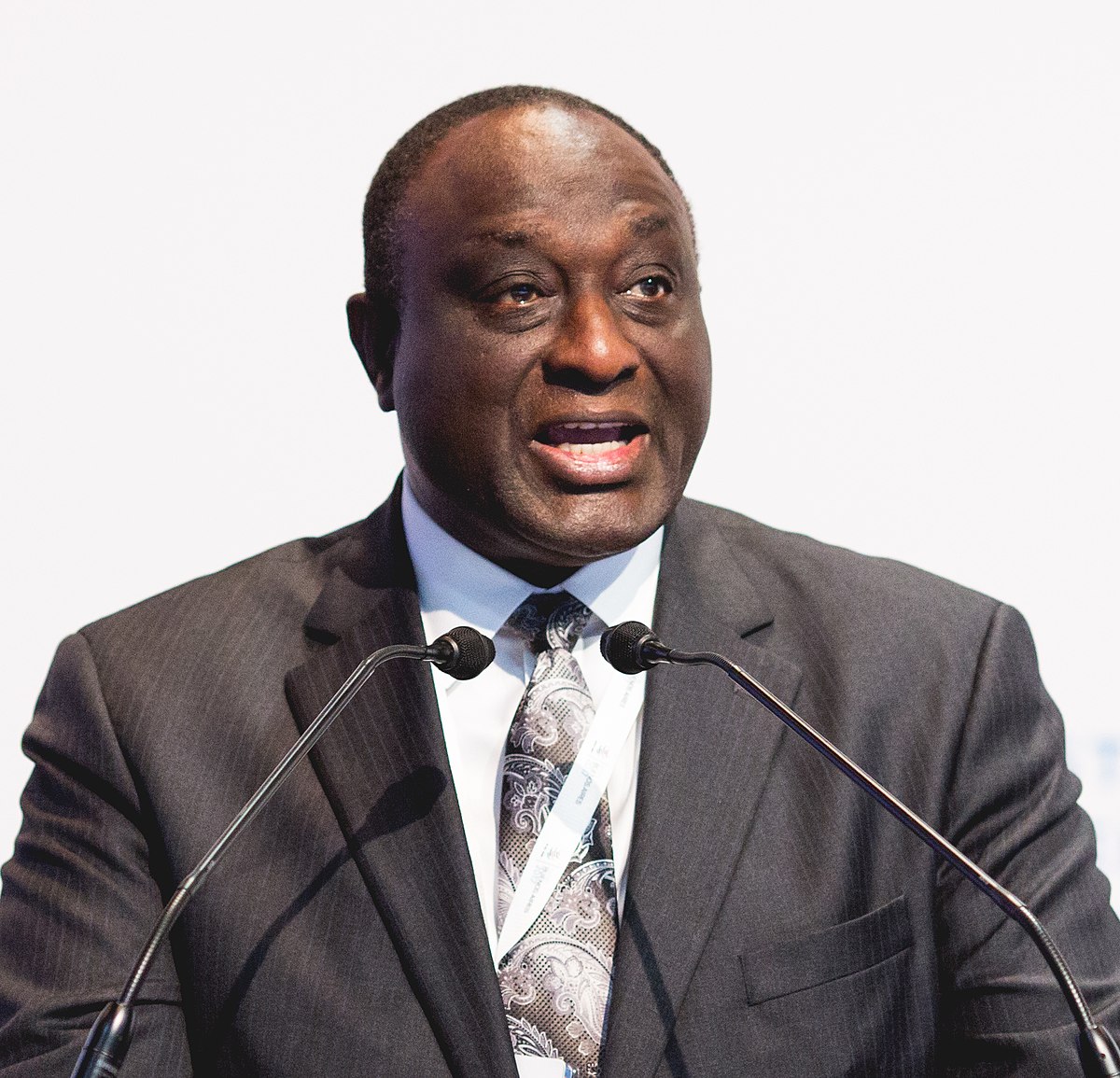 1200px-Plenary_session,_12_December_morning_(24172415987)_Alan_John_Kyerematen