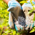 Agric-Minister-stopped-my-bid-to-introduce-fertiliser-manufacturing-plant