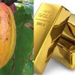 cocoa-and-gold