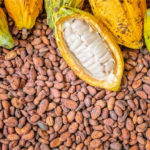 2020-11-20_0_Ghana_Threatens_To_Suspend_Cocoa_Companies’_Sustainability_Schemes