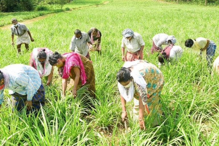 Farmers_EPS