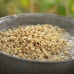 vs211113-001-754x424