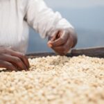 Coffee-farmer-Rwanda-pedphla8v5myjej4yuotqpqhnhvehcxx64guohbh76
