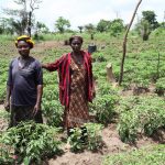 Organic-Farming