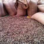 Raw-Cashew-Nuts