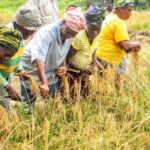 Women-farmers
