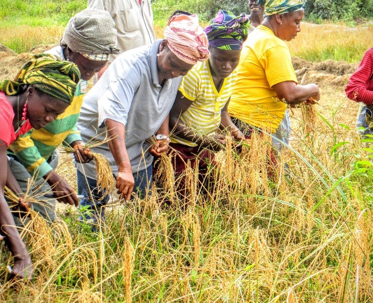 Women-farmers
