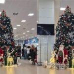 Christmas-tree-754x424