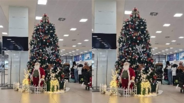 Christmas-tree-754x424