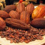 cocoa-4_3