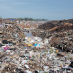Abokobi-Landfill-site-and-feeding-hooded-vultures-at-UG-refuse-dump