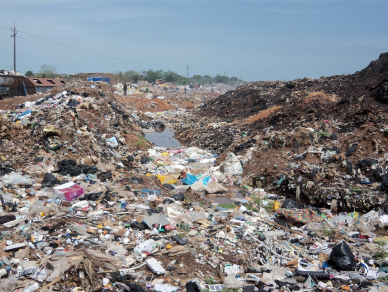 Abokobi-Landfill-site-and-feeding-hooded-vultures-at-UG-refuse-dump