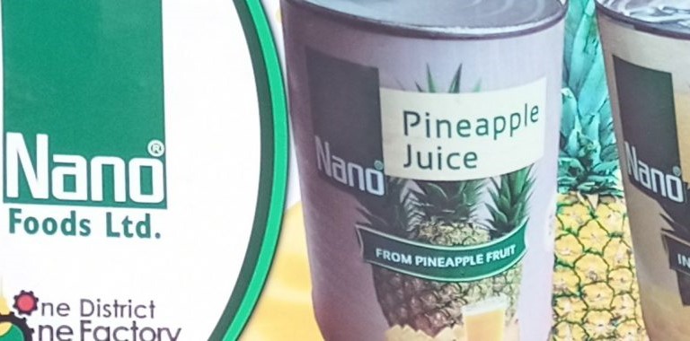 Nano-Foods
