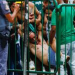 Palmeiras-fan-AP-640