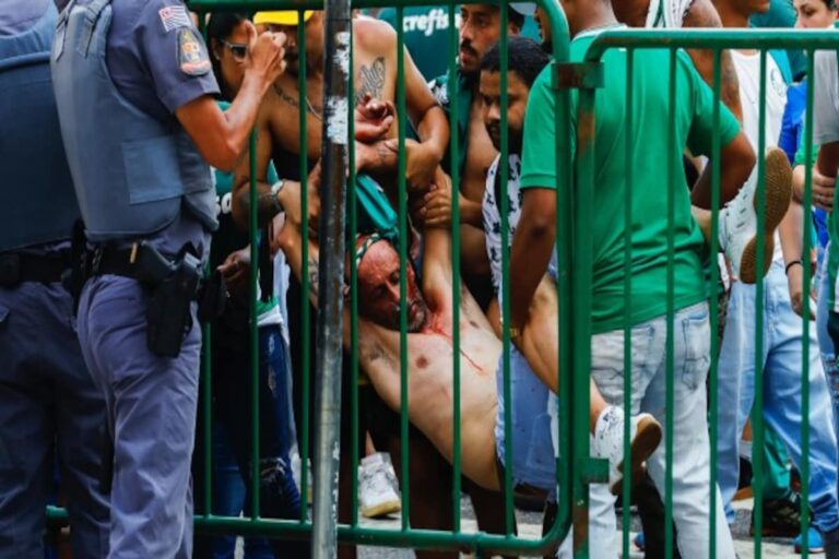 Palmeiras-fan-AP-640