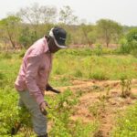 Ibrahim-Salifu1-1024x678