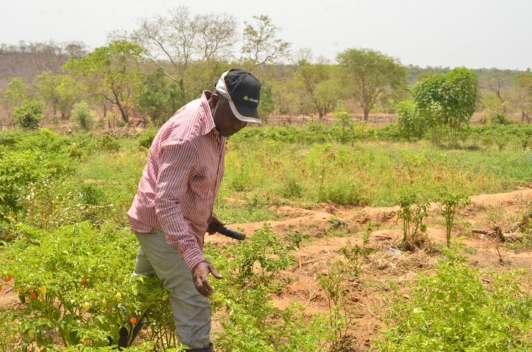 Ibrahim-Salifu1-1024x678