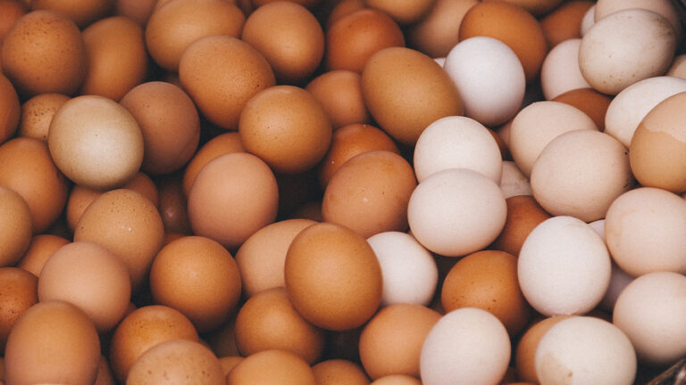 MW-GH366_eggs04_20180415175211_ZH
