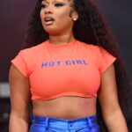 rapper-megan-thee-stallion-performs-onstage-during-day-2-of-news-photo-1636039949