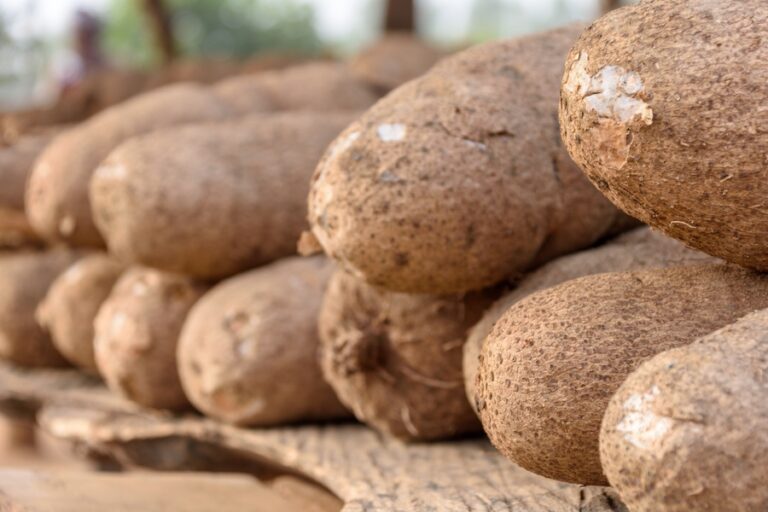 Average-Price-of-1kg-of-Yam-Tuber-Increased-by-9.87-in-April-2021-–-NBS-Brandspur