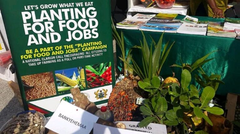 Planting-for-food-and-jobs