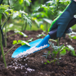 The-Different-Types-of-Fertilizers