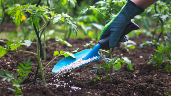The-Different-Types-of-Fertilizers