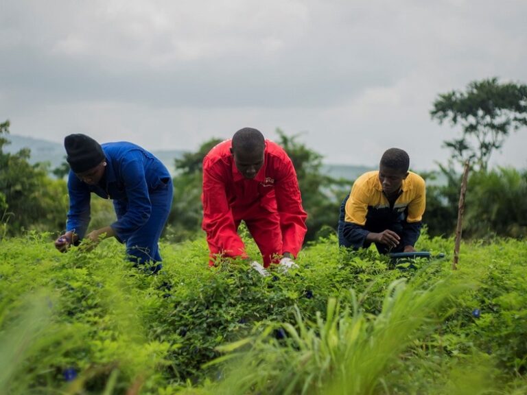 gizIMAGE_farmarbeiterinnen_teeproduzentin_03_rdax_782x586s