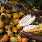 image_750x_62541b5a511fb