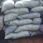 vs220427-007-1024x461