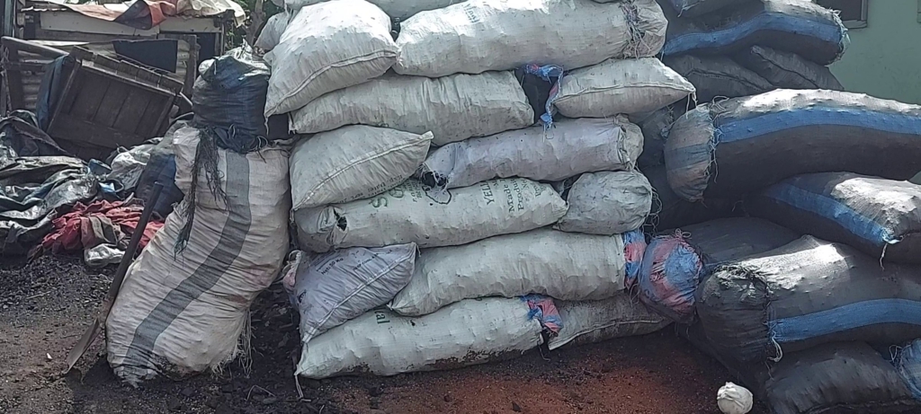 vs220427-007-1024x461