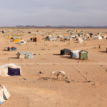 17_mauritania0743
