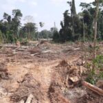 Galamsey-Image-11-754x424