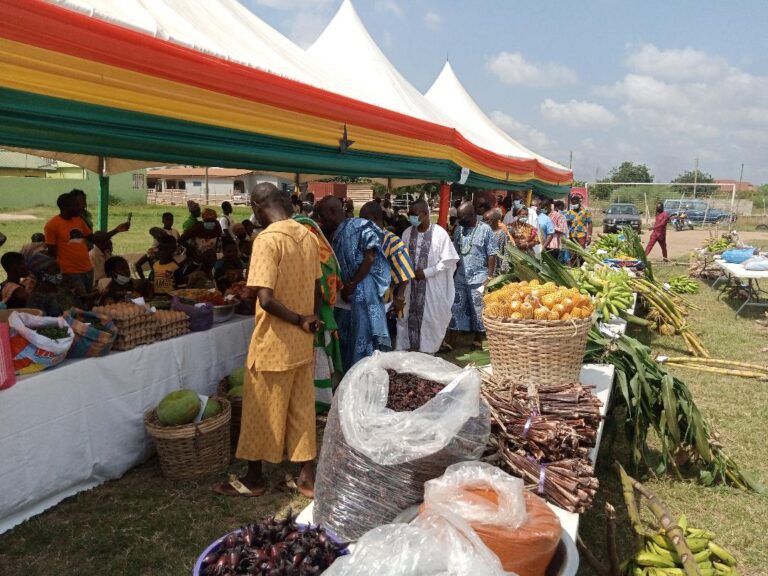 Social-Kpone-Farmers-