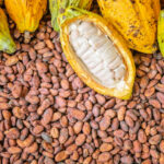 cocoa