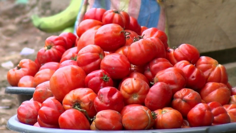 A-PAN-OF-TOMATOES-1024x576