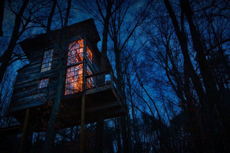 treetop-hideaways-1516902991 (1)